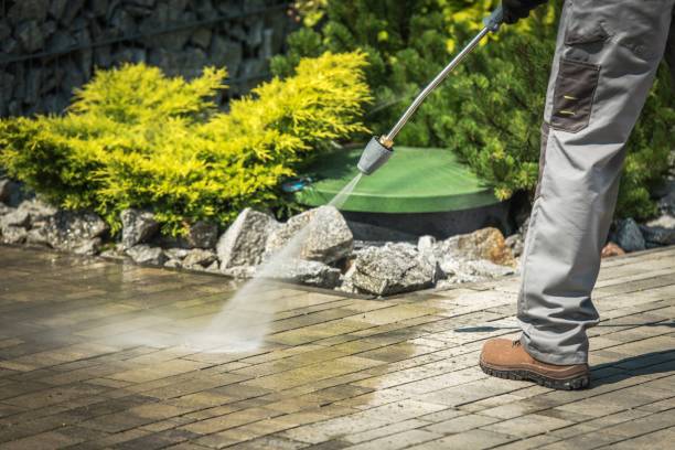 Best Animal Enclosure Cleaning  in Venice, FL